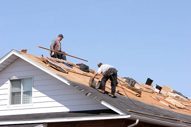 Best Storm Damage Roof Repair  in Germantown Hls, IL